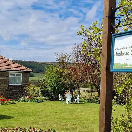 Woodpeckers Cottage Scarborough Dış mekan fotoğraf