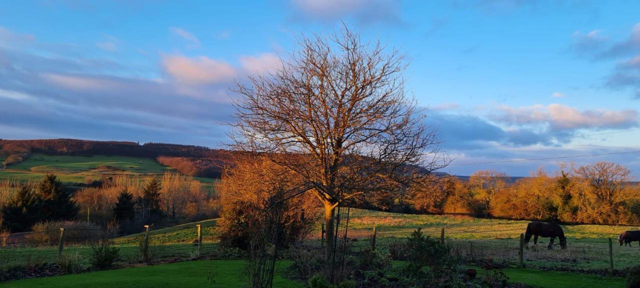 Woodpeckers Cottage Scarborough Dış mekan fotoğraf